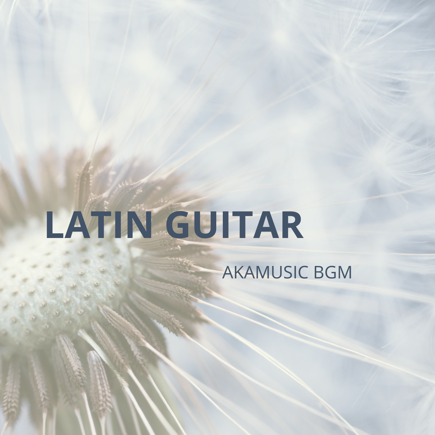 GUITAR LATIN cover